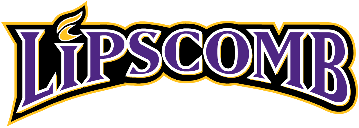 Lipscomb Bisons 2002-2011 Wordmark Logo diy iron on heat transfer